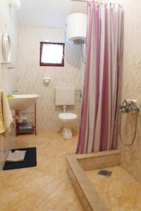 a bathroom with a toilet and a sink and a shower at Apartments near the sea Marinovic in Prizba