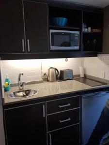eine Küchentheke mit einer Spüle und einer Mikrowelle in der Unterkunft Bariloche Studio Center Leg.1068 in San Carlos de Bariloche
