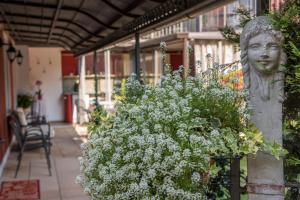 Fotografie z fotogalerie ubytování Villa Goccia di Vino v destinaci La Morra