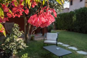 Fotografie z fotogalerie ubytování Villa Goccia di Vino v destinaci La Morra