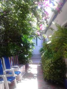 un patio con sedie e piante e una casa di Vianova's Place Posada Nativa a San Andrés