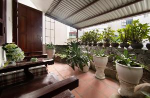 ein Zimmer mit einem Haufen Topfpflanzen in der Unterkunft Impressive Boutique Hotel in Hanoi