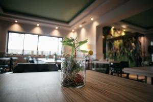 Restaurace v ubytování Hotel Aloisi