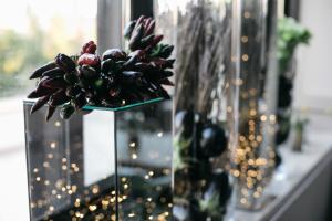 Zahrada ubytování Hotel Aloisi