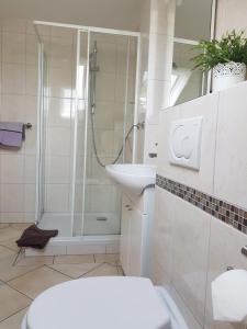 ein Bad mit einer Dusche, einem WC und einem Waschbecken in der Unterkunft Ferienzimmer Weingut Mack in Oestrich-Winkel