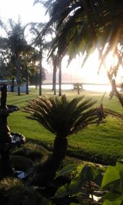 A garden outside Newcastle Country Lodge