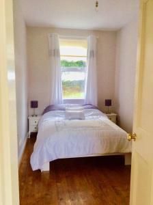 a bedroom with a large bed with a window at Birch Tree Cottage in Westport