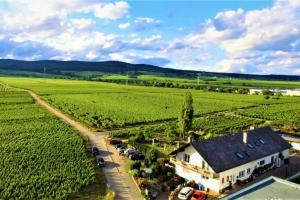 eine Luftansicht eines Hauses und eines Weinbergs in der Unterkunft Ferienzimmer Weingut Mack in Oestrich-Winkel