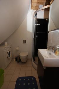 ein kleines Bad mit einem Waschbecken und einem WC in der Unterkunft Bed & Breakfast Horsens in Horsens
