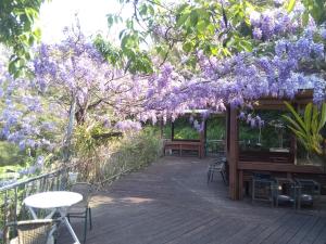 Un jardín fuera de 內灣星光流域民宿