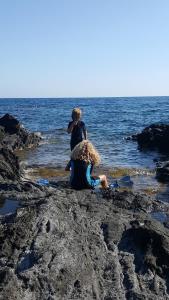 Gallery image of Dammusi di pietra Stella in Pantelleria