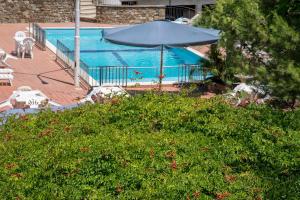 Zahrada ubytování Hotel Eden