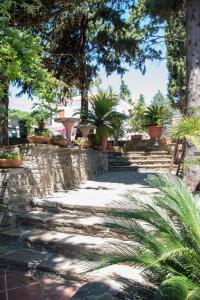 Zahrada ubytování Hotel Eden