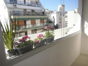 une fenêtre avec des plantes en pot sur un rebord de fenêtre dans l'établissement Recoleta Departamento, à Buenos Aires