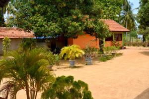 Zahrada ubytování Yaswi Guest House