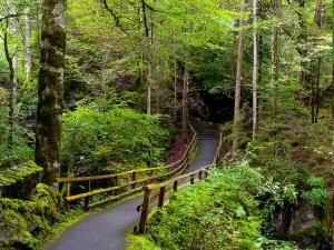 Imagem da galeria de Hotel & Spa Blausee em Blausee