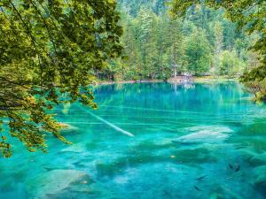 Paesaggio naturale nelle vicinanze dell'hotel