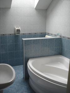 Koupelna v ubytování Tisza Alfa Hotel