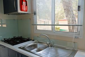 Кухня или мини-кухня в Mobile Homes Camping Kovačine

