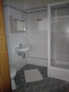 a bathroom with a sink and a shower and a toilet at Pension Hartmann in Görlitz