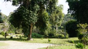 Um jardim em Pousada Cabanas da Serra Lumiar