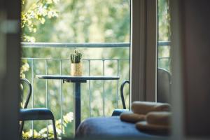 柏林的住宿－柏林安比特酒店，一张桌子,上面有仙人掌,坐在窗前