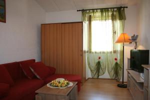 TV a/nebo společenská místnost v ubytování Apartmani Halilovic