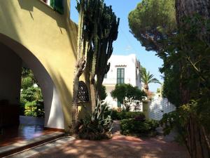 uma casa com uma palmeira e um edifício em Villa immersa nel verde em Ischia