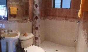 y baño con aseo, lavabo y ducha. en Chez Alicia Hostal en Villa de Leyva