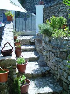 Zahrada ubytování B&B Dell' Artista