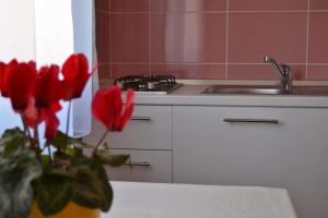 Gallery image of Apartments Vitez in Zadar