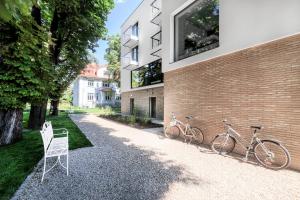 Jízda na kole v ubytování Hotel Testa nebo okolí