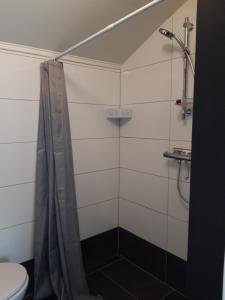 a bathroom with a shower and a toilet at Rietzicht in Alkmaar
