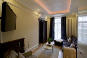 布達佩斯的住宿－伊麗莎白大橋公寓，带沙发和电视的客厅