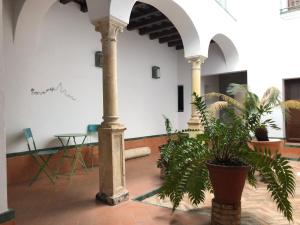 コルドバにあるEl 5 de la Hogueraの柱と植物が入った部屋