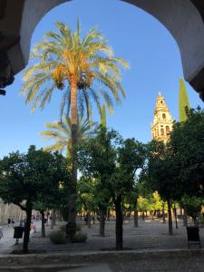 Afbeelding uit fotogalerij van El 5 de la Hoguera in Córdoba