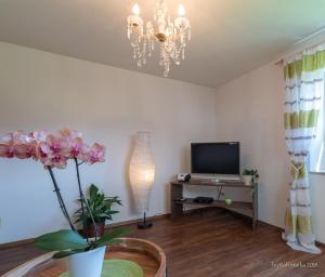 sala de estar con lámpara de araña y TV en Apartment Gehrenspitze, en Reutte