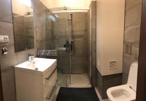 Koupelna v ubytování Apartmány Pod Modřínem