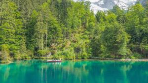 a boat in the middle of a blue lake at Hotel & Spa Blausee in Blausee