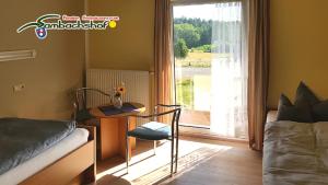 Zona d'estar a Pension Freizeitzentrum Sambachshof