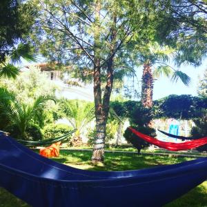 Giardino di Kaizen Gate Hotel