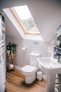 a bathroom with a toilet and a sink and a skylight at Sea Shimmer in Portree +26 photos