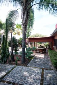 a garden with a palm tree and a patio at Casa Marly in Xochitepec