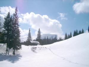 Аня Рома v zimě