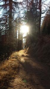 Paesaggio naturale nelle vicinanze dell'appartamento