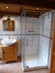 ein Bad mit einer Dusche und einem Waschbecken in der Unterkunft Alter Krämerladen von 1732 in Friedrichstadt