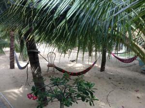 a hammock tied to a palm tree on the beach at Cocosand Hotel in Mui Ne