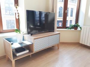 een flatscreen-tv op een houten standaard in een woonkamer bij Appartement 60m2 / Hyper Centre (Gares et Vieux Lille) in Lille