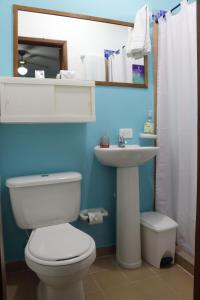 a bathroom with a white toilet and a sink at Hotel Zandu in Pereira