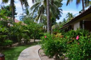 a walkway in front of a house with palm trees at Cocotinos Sekotong Lombok in Sekotong